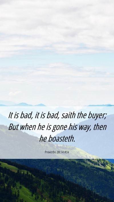 Picture 06 - Proverbs 20:14 ASV Mobile Phone Wallpaper - It is bad, it is bad, saith the buyer; But when - Mobile Bible Verse Wallpaper