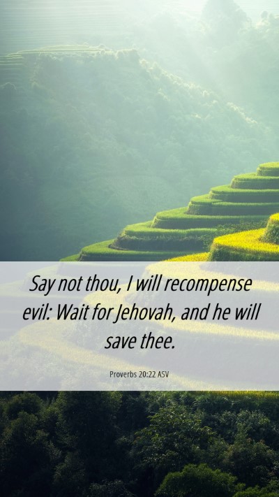 Picture 06 - Proverbs 20:22 ASV Mobile Phone Wallpaper - Say not thou, I will recompense evil: Wait for - Mobile Bible Verse Wallpaper