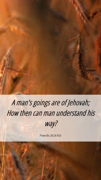 Picture 06 - Proverbs 20:24 ASV Mobile Phone Wallpaper - A man's goings are of Jehovah; How then can man - Mobile Bible Verse Wallpaper