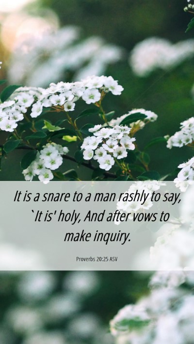 Picture 06 - Proverbs 20:25 ASV Mobile Phone Wallpaper - It is a snare to a man rashly to say, `It is' - Mobile Bible Verse Wallpaper