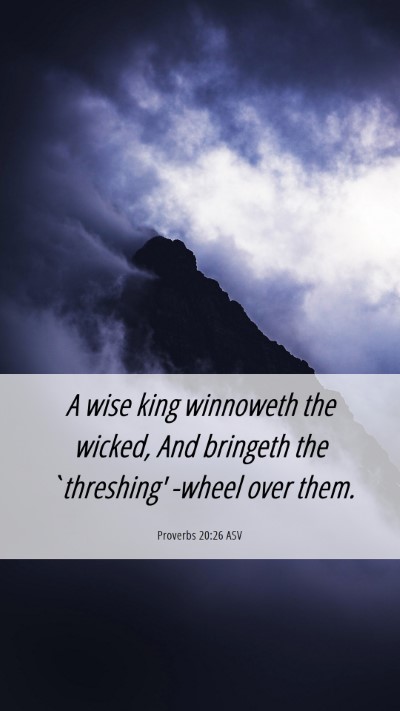 Picture 06 - Proverbs 20:26 ASV Mobile Phone Wallpaper - A wise king winnoweth the wicked, And bringeth - Mobile Bible Verse Wallpaper