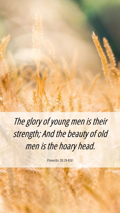 Picture 06 - Proverbs 20:29 ASV Mobile Phone Wallpaper - The glory of young men is their strength; And the - Mobile Bible Verse Wallpaper