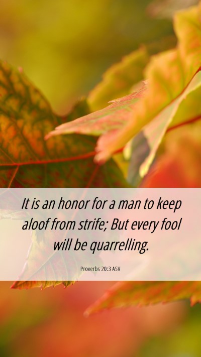 Picture 06 - Proverbs 20:3 ASV Mobile Phone Wallpaper - It is an honor for a man to keep aloof from - Mobile Bible Verse Wallpaper