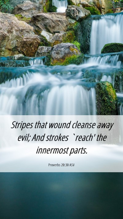 Picture 06 - Proverbs 20:30 ASV Mobile Phone Wallpaper - Stripes that wound cleanse away evil; And strokes - Mobile Bible Verse Wallpaper