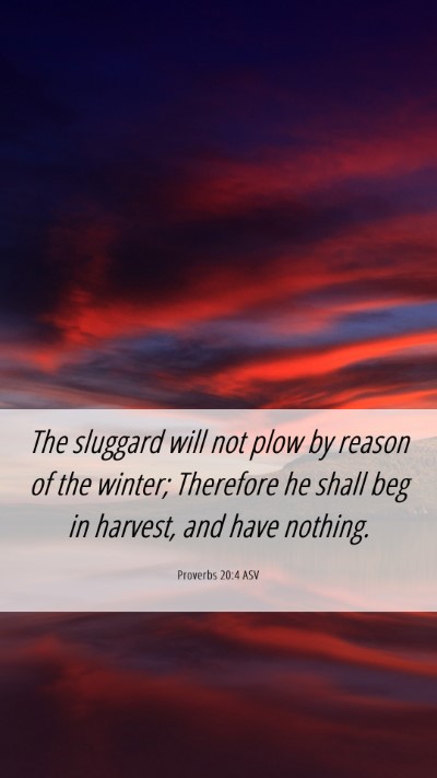 Picture 06 - Proverbs 20:4 ASV Mobile Phone Wallpaper - The sluggard will not plow by reason of the - Mobile Bible Verse Wallpaper