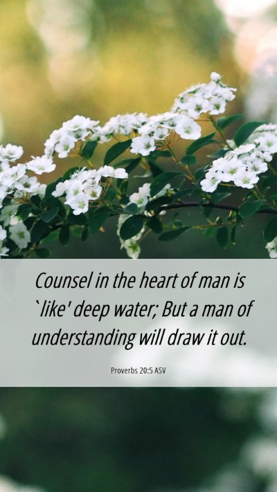 Picture 06 - Proverbs 20:5 ASV Mobile Phone Wallpaper - Counsel in the heart of man is `like' deep water; - Mobile Bible Verse Wallpaper