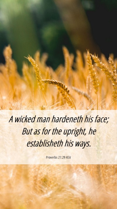 Picture 06 - Proverbs 21:29 ASV Mobile Phone Wallpaper - A wicked man hardeneth his face; But as for the - Mobile Bible Verse Wallpaper