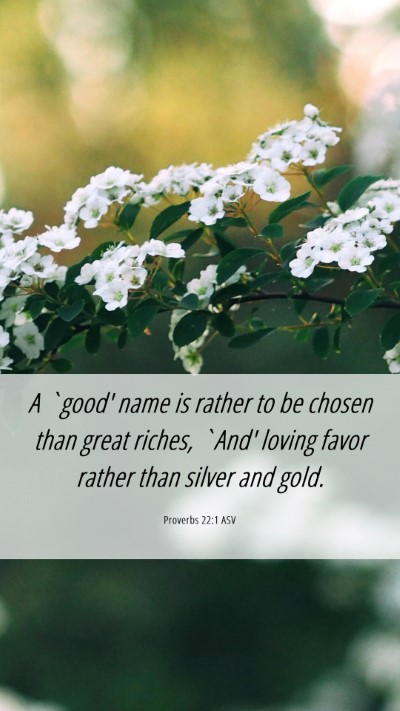 Picture 06 - Proverbs 22:1 ASV Mobile Phone Wallpaper - A `good' name is rather to be chosen than great - Mobile Bible Verse Wallpaper