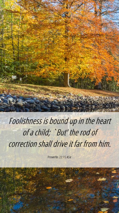 Picture 06 - Proverbs 22:15 ASV Mobile Phone Wallpaper - Foolishness is bound up in the heart of a child; - Mobile Bible Verse Wallpaper