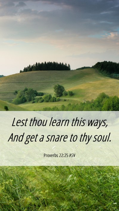 Picture 06 - Proverbs 22:25 ASV Mobile Phone Wallpaper - Lest thou learn this ways, And get a snare to thy - Mobile Bible Verse Wallpaper