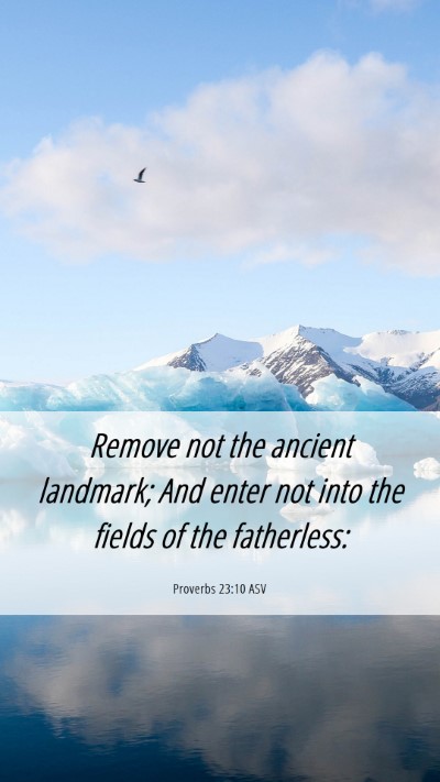 Picture 06 - Proverbs 23:10 ASV Mobile Phone Wallpaper - Remove not the ancient landmark; And enter not - Mobile Bible Verse Wallpaper