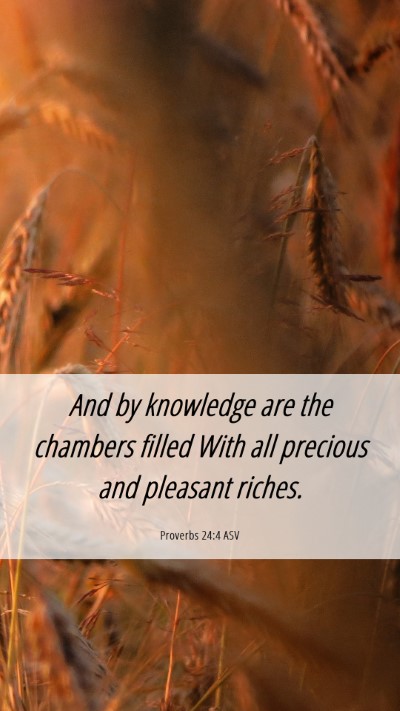 Picture 06 - Proverbs 24:4 ASV Mobile Phone Wallpaper - And by knowledge are the chambers filled With all - Mobile Bible Verse Wallpaper