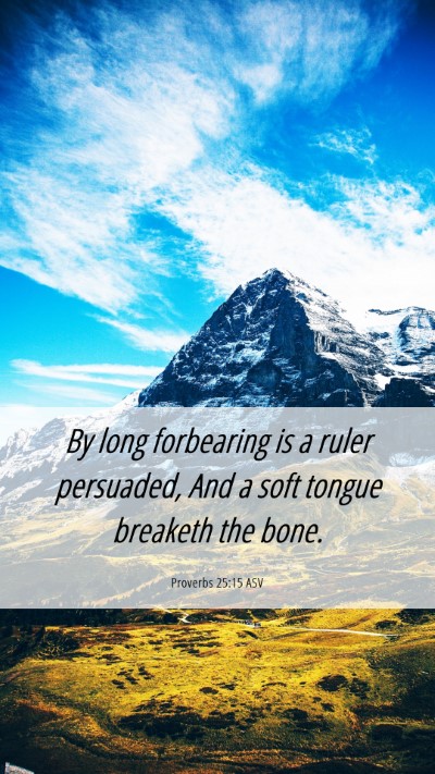 Picture 06 - Proverbs 25:15 ASV Mobile Phone Wallpaper - By long forbearing is a ruler persuaded, And a - Mobile Bible Verse Wallpaper