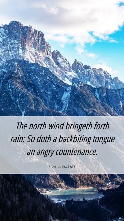 Picture 06 - Proverbs 25:23 ASV Mobile Phone Wallpaper - The north wind bringeth forth rain: So doth a - Mobile Bible Verse Wallpaper