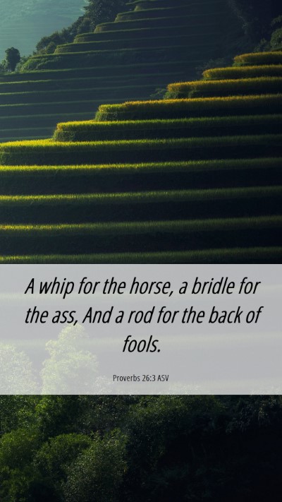 Picture 06 - Proverbs 26:3 ASV Mobile Phone Wallpaper - A whip for the horse, a bridle for the ass, And a - Mobile Bible Verse Wallpaper