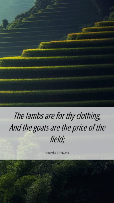 Picture 06 - Proverbs 27:26 ASV Mobile Phone Wallpaper - The lambs are for thy clothing, And the goats are - Mobile Bible Verse Wallpaper