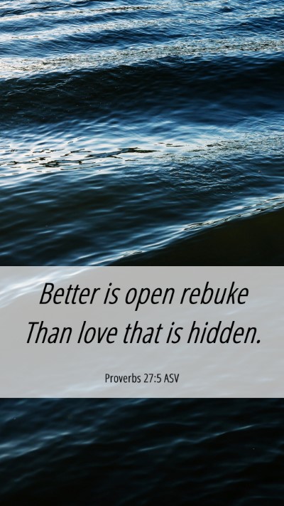 Picture 06 - Proverbs 27:5 ASV Mobile Phone Wallpaper - Better is open rebuke Than love that is - Mobile Bible Verse Wallpaper