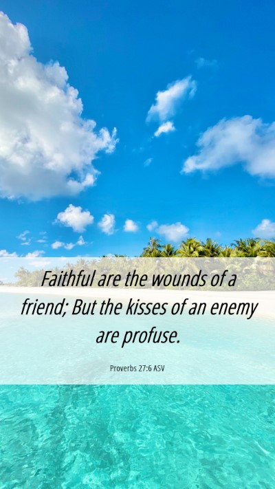 Picture 06 - Proverbs 27:6 ASV Mobile Phone Wallpaper - Faithful are the wounds of a friend; But the - Mobile Bible Verse Wallpaper