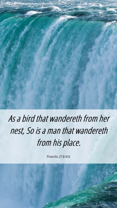 Picture 06 - Proverbs 27:8 ASV Mobile Phone Wallpaper - As a bird that wandereth from her nest, So is a - Mobile Bible Verse Wallpaper