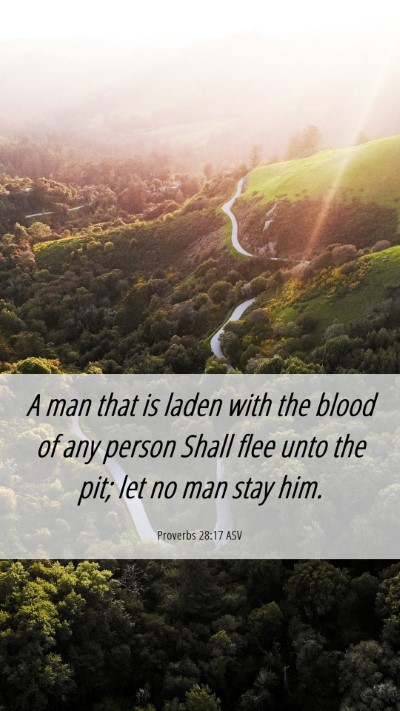 Picture 06 - Proverbs 28:17 ASV Mobile Phone Wallpaper - A man that is laden with the blood of any person - Mobile Bible Verse Wallpaper