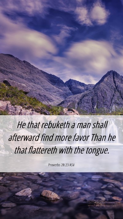 Picture 06 - Proverbs 28:23 ASV Mobile Phone Wallpaper - He that rebuketh a man shall afterward find more - Mobile Bible Verse Wallpaper