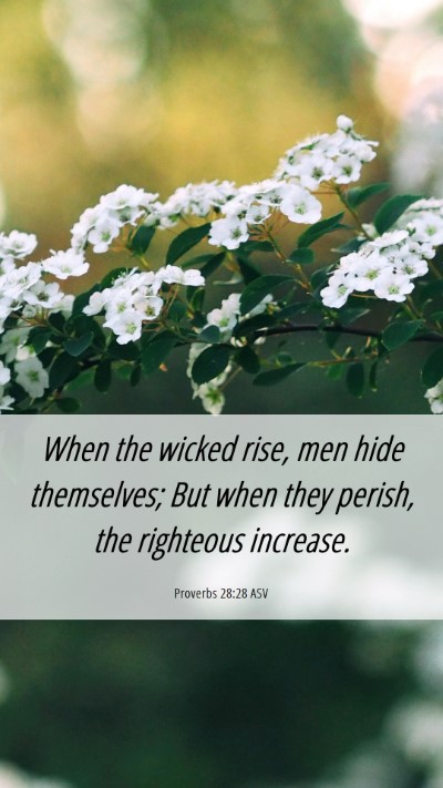 Picture 06 - Proverbs 28:28 ASV Mobile Phone Wallpaper - When the wicked rise, men hide themselves; But - Mobile Bible Verse Wallpaper