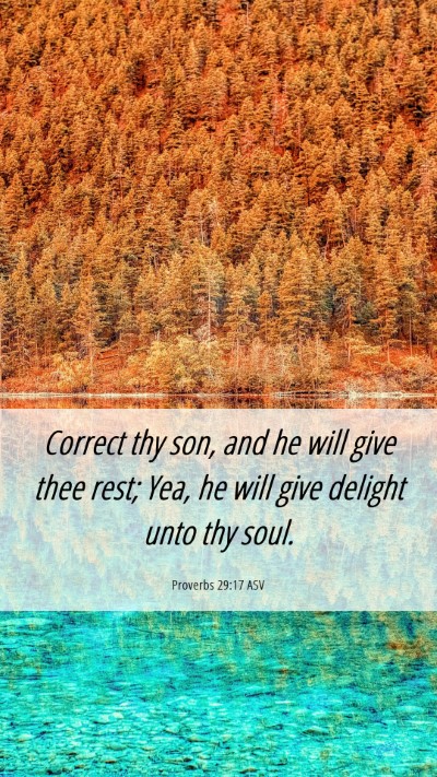 Picture 06 - Proverbs 29:17 ASV Mobile Phone Wallpaper - Correct thy son, and he will give thee rest; Yea, - Mobile Bible Verse Wallpaper