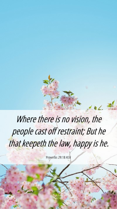 Picture 06 - Proverbs 29:18 ASV Mobile Phone Wallpaper - Where there is no vision, the people cast off - Mobile Bible Verse Wallpaper