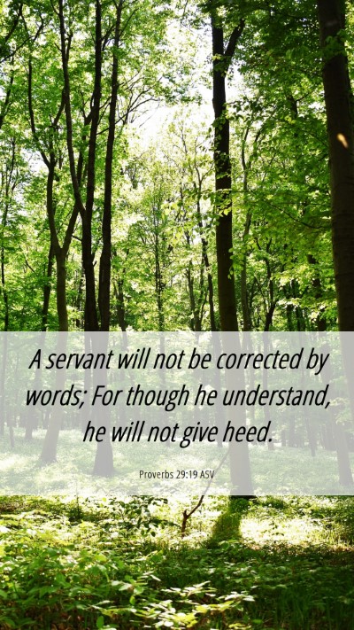Picture 06 - Proverbs 29:19 ASV Mobile Phone Wallpaper - A servant will not be corrected by words; For - Mobile Bible Verse Wallpaper
