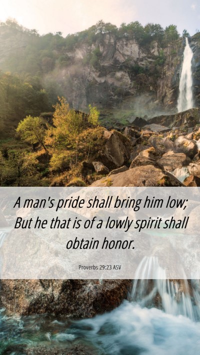 Picture 06 - Proverbs 29:23 ASV Mobile Phone Wallpaper - A man's pride shall bring him low; But he that is - Mobile Bible Verse Wallpaper