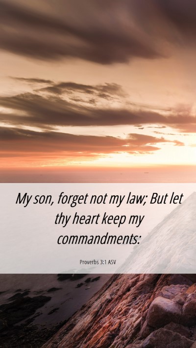 Picture 06 - Proverbs 3:1 ASV Mobile Phone Wallpaper - My son, forget not my law; But let thy heart keep - Mobile Bible Verse Wallpaper