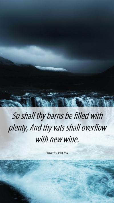 Picture 06 - Proverbs 3:10 ASV Mobile Phone Wallpaper - So shall thy barns be filled with plenty, And thy - Mobile Bible Verse Wallpaper