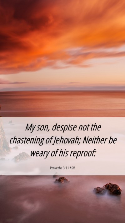 Picture 06 - Proverbs 3:11 ASV Mobile Phone Wallpaper - My son, despise not the chastening of Jehovah; - Mobile Bible Verse Wallpaper