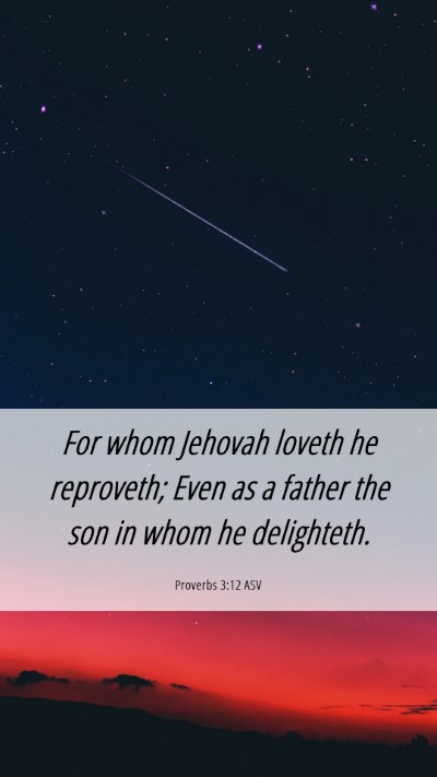Picture 06 - Proverbs 3:12 ASV Mobile Phone Wallpaper - For whom Jehovah loveth he reproveth; Even as a - Mobile Bible Verse Wallpaper
