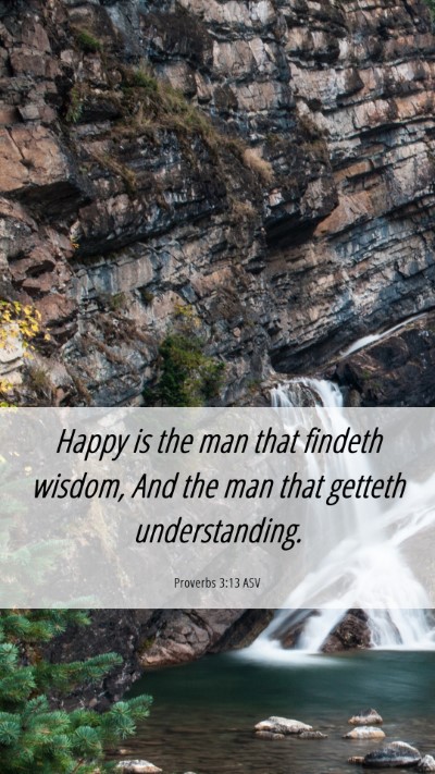 Picture 06 - Proverbs 3:13 ASV Mobile Phone Wallpaper - Happy is the man that findeth wisdom, And the man - Mobile Bible Verse Wallpaper