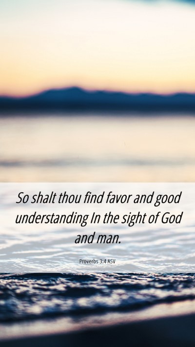 Picture 06 - Proverbs 3:4 ASV Mobile Phone Wallpaper - So shalt thou find favor and good understanding - Mobile Bible Verse Wallpaper