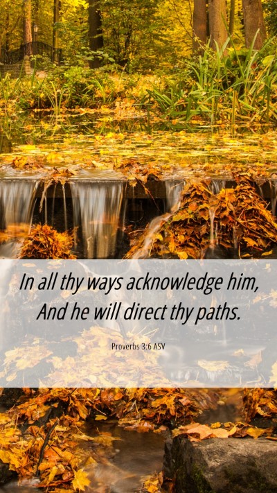 Picture 06 - Proverbs 3:6 ASV Mobile Phone Wallpaper - In all thy ways acknowledge him, And he will - Mobile Bible Verse Wallpaper