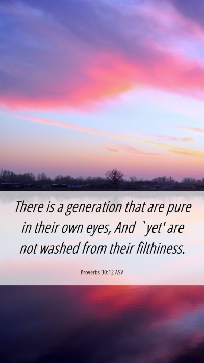 Picture 06 - Proverbs 30:12 ASV Mobile Phone Wallpaper - There is a generation that are pure in their own - Mobile Bible Verse Wallpaper