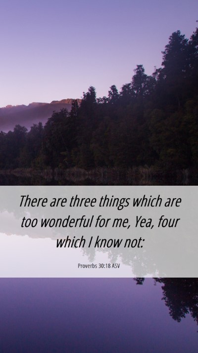 Picture 06 - Proverbs 30:18 ASV Mobile Phone Wallpaper - There are three things which are too wonderful - Mobile Bible Verse Wallpaper