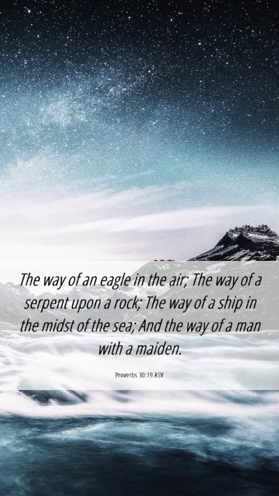 Picture 06 - Proverbs 30:19 ASV Mobile Phone Wallpaper - The way of an eagle in the air; The way of a - Mobile Bible Verse Wallpaper