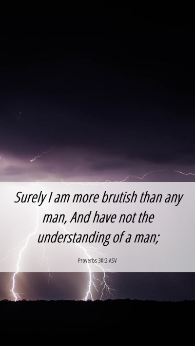 Picture 06 - Proverbs 30:2 ASV Mobile Phone Wallpaper - Surely I am more brutish than any man, And have - Mobile Bible Verse Wallpaper
