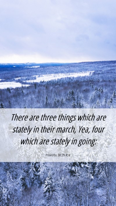 Picture 06 - Proverbs 30:29 ASV Mobile Phone Wallpaper - There are three things which are stately in their - Mobile Bible Verse Wallpaper
