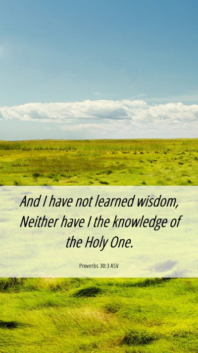 Picture 06 - Proverbs 30:3 ASV Mobile Phone Wallpaper - And I have not learned wisdom, Neither have I the - Mobile Bible Verse Wallpaper