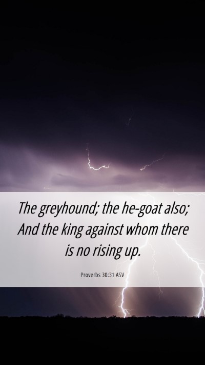 Picture 06 - Proverbs 30:31 ASV Mobile Phone Wallpaper - The greyhound; the he-goat also; And the king - Mobile Bible Verse Wallpaper