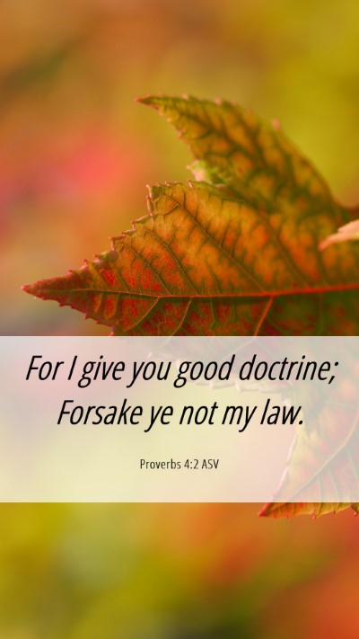 Picture 06 - Proverbs 4:2 ASV Mobile Phone Wallpaper - For I give you good doctrine; Forsake ye not my - Mobile Bible Verse Wallpaper
