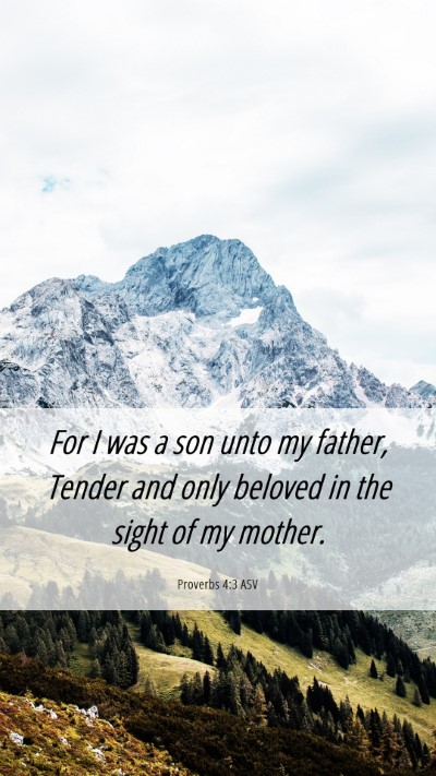 Picture 06 - Proverbs 4:3 ASV Mobile Phone Wallpaper - For I was a son unto my father, Tender and only - Mobile Bible Verse Wallpaper
