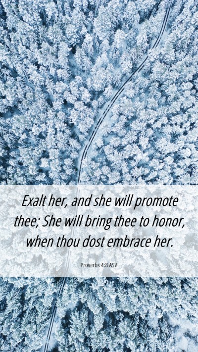 Picture 06 - Proverbs 4:8 ASV Mobile Phone Wallpaper - Exalt her, and she will promote thee; She will - Mobile Bible Verse Wallpaper