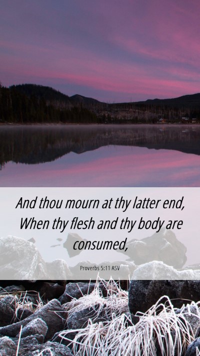Picture 06 - Proverbs 5:11 ASV Mobile Phone Wallpaper - And thou mourn at thy latter end, When thy flesh - Mobile Bible Verse Wallpaper
