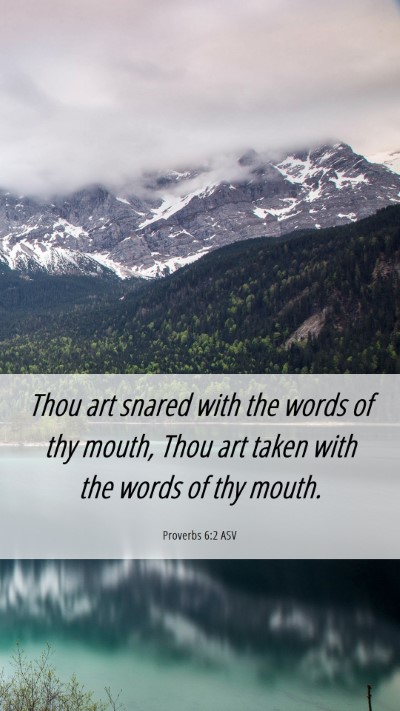 Picture 06 - Proverbs 6:2 ASV Mobile Phone Wallpaper - Thou art snared with the words of thy mouth, Thou - Mobile Bible Verse Wallpaper