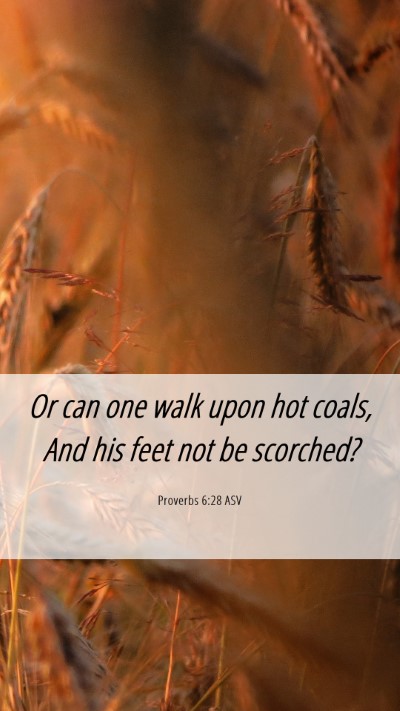 Picture 06 - Proverbs 6:28 ASV Mobile Phone Wallpaper - Or can one walk upon hot coals, And his feet not - Mobile Bible Verse Wallpaper